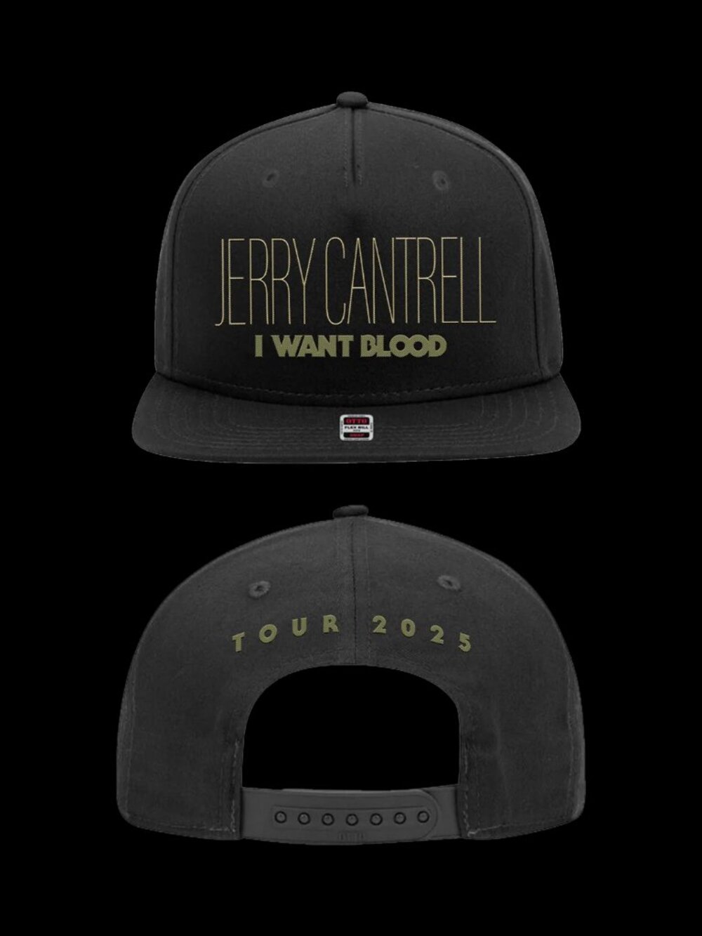Jerry Cantrell String Bend Hat from 2025 Tour. NEW